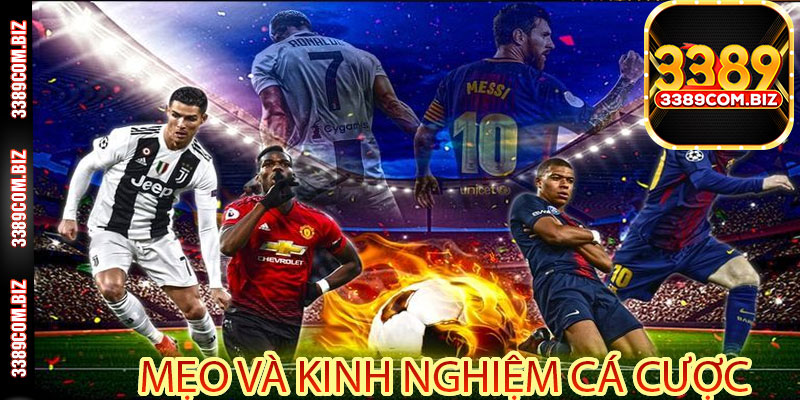 Mẹo Và Kinh Nghiệm Cá Cược Từ Các Chuyên Gia
